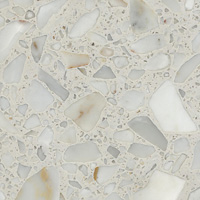 Arabescato Bianco, poler, próbka 01