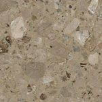 Breccia Aurora, poler, próbka 03