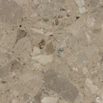 Breccia Aurora, poler, próbka 06