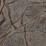 Rain Forest Brown