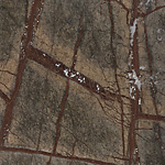 Rain Forest Brown, poler, próbka 02