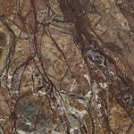 Rain Forest Brown, poler, próbka 04
