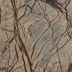 Rain Forest Brown, poler, próbka 05