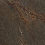 Rain Forest Brown, poler, próbka 06