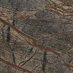Rain Forest Brown, poliert, Probe 01