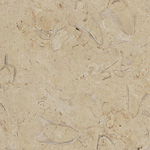 Shell Desert,  Antike, Probe 04