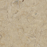 Shell Desert, poler, próbka 04