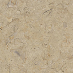 Shell Desert, poler, próbka 05