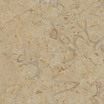 Shell Desert, polished, sample 02