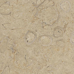 Shell Desert, polished, sample 06